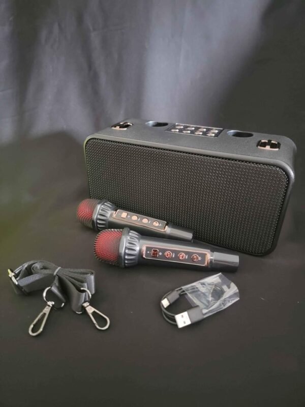 Karaoke speaker